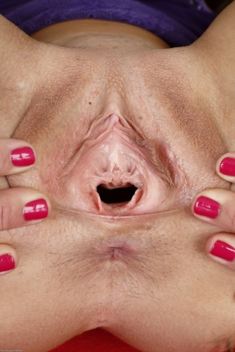 Fotos de vaginas vulva-7